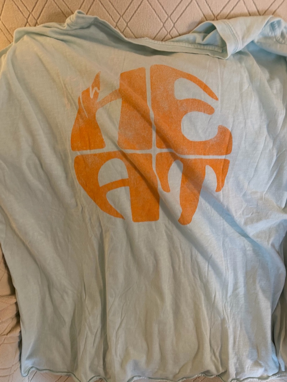 aerie Light Blue Short-Sleeve Tee with Orange Graphic